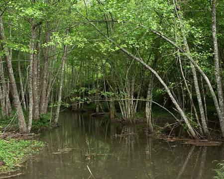 FM9A1132 Eau stagnante