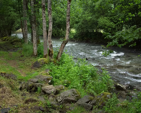 FM9A1153 L’Oriège