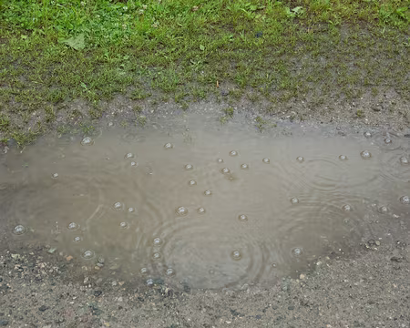 FM9A1170 Il pleut à grosses goutes, c’est même de l’orage