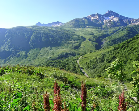 DSC02837c ...sous un soleil radieux.