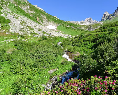 DSC02837d Paysage de juin : végétation en pleine croissance, rhododendrons en fleurs, torrents gonflés.