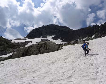 DSC03014e 3) Etage nival.