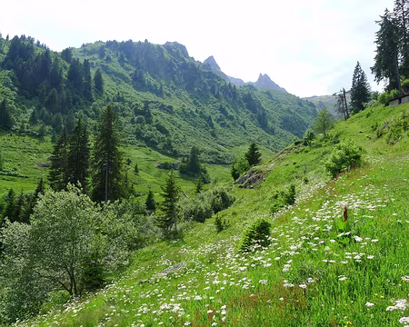 DSC03059g ... et les petites combes paradisiaques !