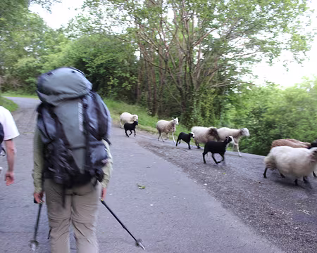 IMG_7309 Samedi 7 juin, un peu au dessus de Ségus