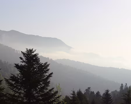 IMG_7364 Dimanche 8 juin