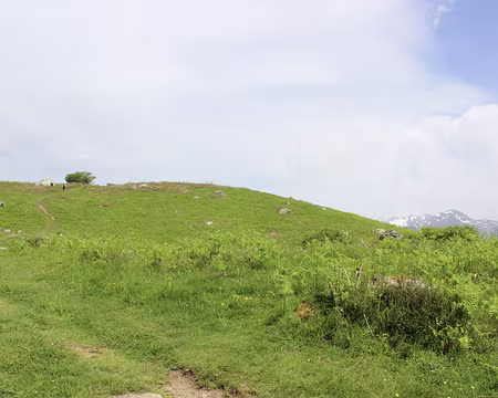 IMG_7494 Mont de Gèz