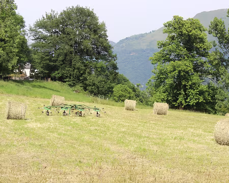 IMG_7497 En arrivant à Argelès Gazost