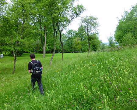 PXL003 Un lieu de pique-nique idéal