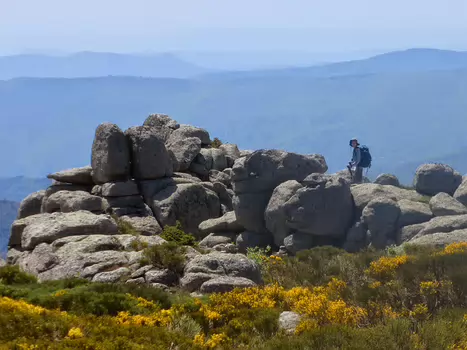 2014-06 Mont Lozère