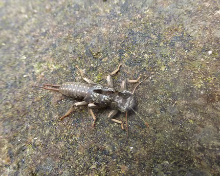 PXL000 A peine commencé que la Lozère nous donne le ton. Quelques restes au bord de la rivière.