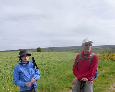 PXL007 Enfin! ils n'ont pas l'air très inquiet.