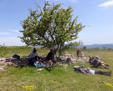 PXL014 Une randonnée bien difficile...