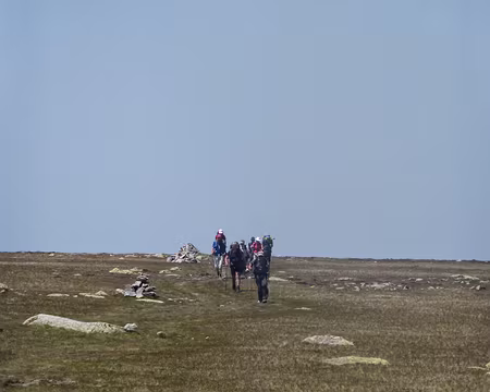 PXL017 N'est-ce pas!!!