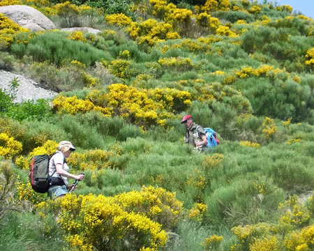 PXL034 de cache cache