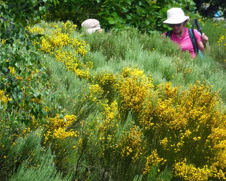 PXL038 Un chapeau et hop, Valérie