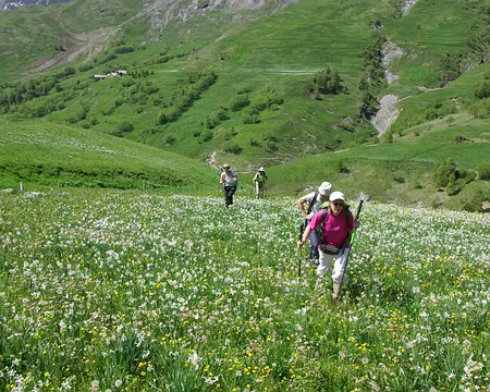 Dommage de piétiner ces jolies fleurs ! Dommage de piétiner ces jolies fleurs !