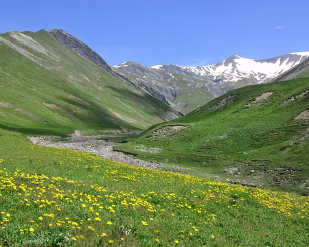 Val fleuri Val fleuri