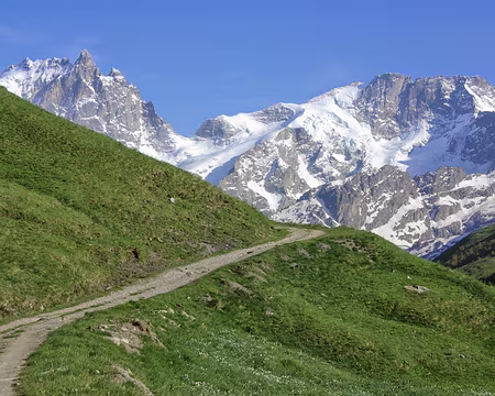 Sur le chemin du retour Sur le chemin du retour