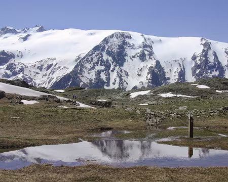 Neige à peine fondue Neige à peine fondue