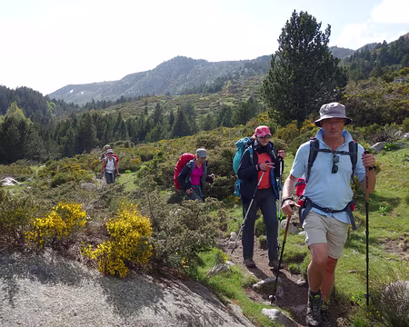 DSC02380 En remontant le riu d'Angostrina