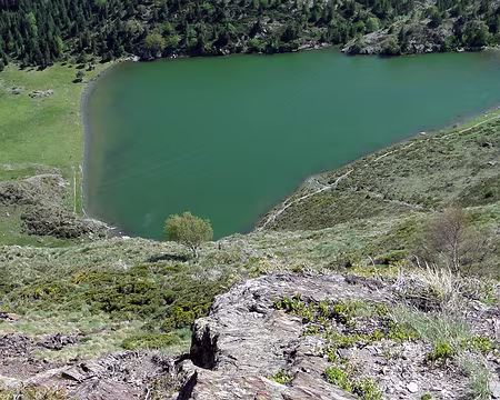 DSC02758b Le coeur vert