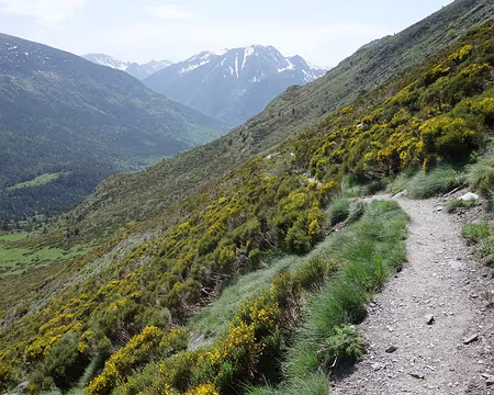 DSC02760 d'une longue descente