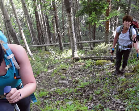 DSC02765b Montée matinale et forestière pour mettre dans l'ambiance