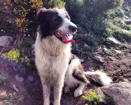 DSC02777a1 Notre guide...