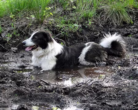 DSC02777b ...apprécie la fraicheur de la boue !