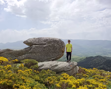 DSC02795 Perdu dans le jaune