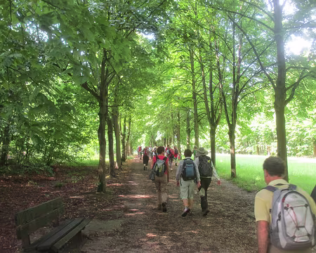 PXL000 vers l'étoile de Bellevue