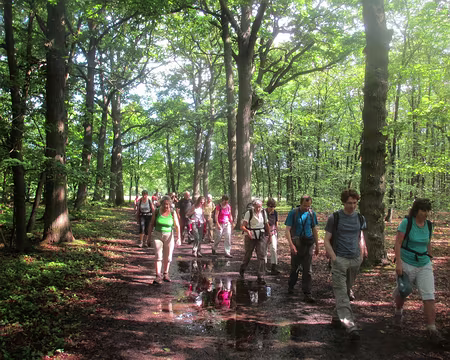 PXL001 les orages de la nuit ont laissé des traces