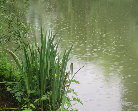 PXL006 Canon Ixus 230 HS, effet de pluie (2014)