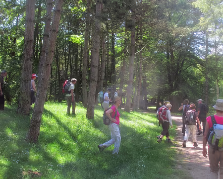 PXL021 un petit raccourci