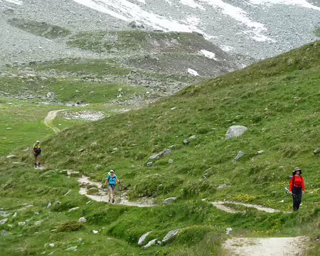 PXL049b Retour dans le vert