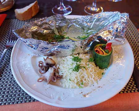 PXL055 Les poulpes seraient ils du lac ?