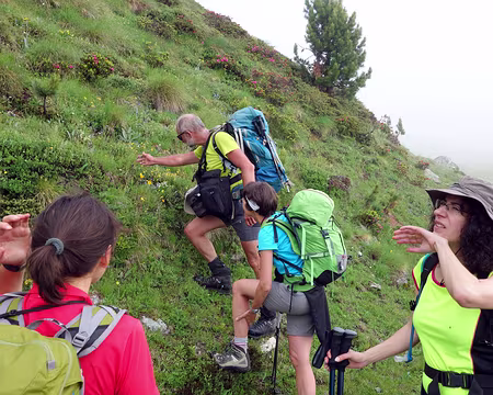 PXL061z1560 Ce matin la montagne est humide