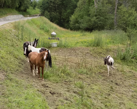 FM9A1351 Tiens, regarde, des randonneurs !