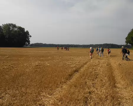 PXL001 En hommage à JD