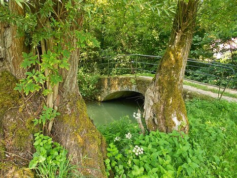 Dominique Dominique F, détail sortie