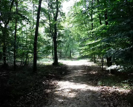 DSCF0021