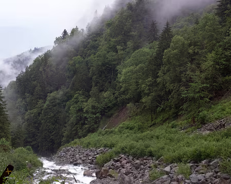 70_IMG_7728 Enfin, la pluie s'arrète