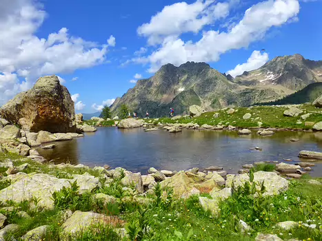 Bernadette Bernadette P, détail sortie