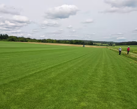 PXL010 Culture de gazon