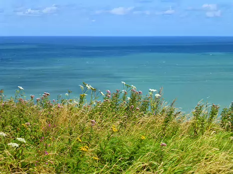 2014-08 Côte d Albâtre