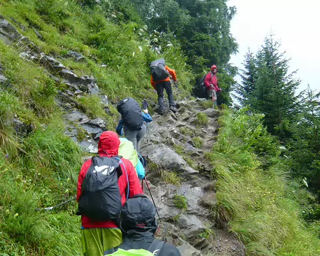 PXL029 Au-dessus des Houches. Montée au col de Volza.