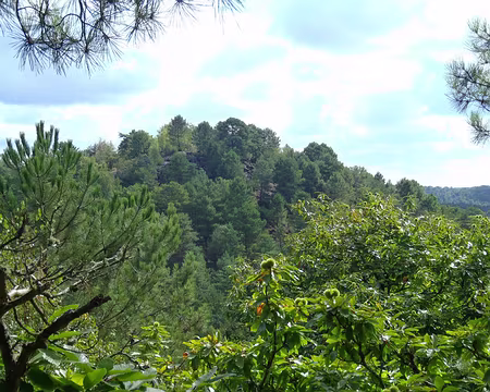 PXL000 La prochaine bosse