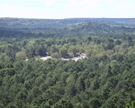 PXL002 La plage, marée verte d'arbres