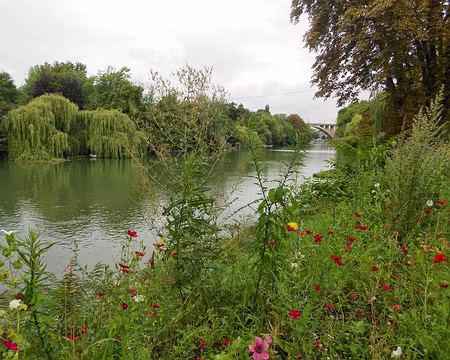 PXL003 Ile des Loups