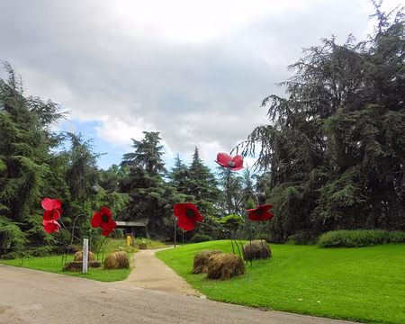 PXL025 Parc Floral de Vincennes inauguré en 1969 lors des 3è Floralies Internationales (35 ha)